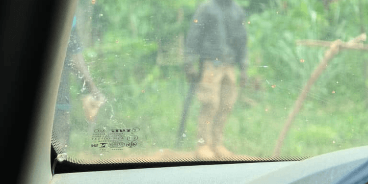 Forestry Commission officer fighting for his life after brutal attack by armed illegal miners