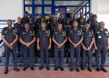 IGP promotes seven officers after anti-robbery operation in Tema
