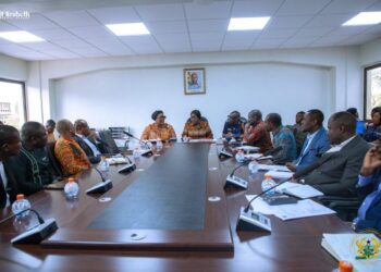 Government mediates Free Zones dispute and pushes balanced enforcement after Customs directive