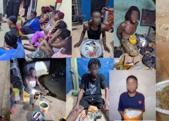 IGP’s Special Operations Team arrests 74 suspects in anti-narcotics and crime suppression operations in Upper East Region
