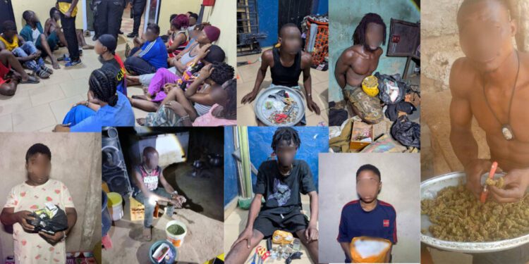 IGP’s Special Operations Team arrests 74 suspects in anti-narcotics and crime suppression operations in Upper East Region