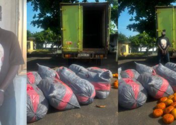 Police intercept suspected Indian hemp on the Tema-Ada road, and one person is arrested