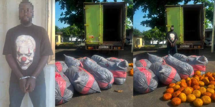 Police intercept suspected Indian hemp on the Tema-Ada road, and one person is arrested