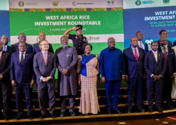 Vice President calls for investment in rice sector to boost food security
