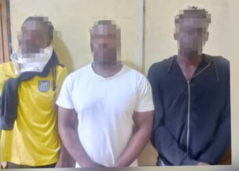 Police arrest seven after disturbance at NPP constituency elections in Wiamoase