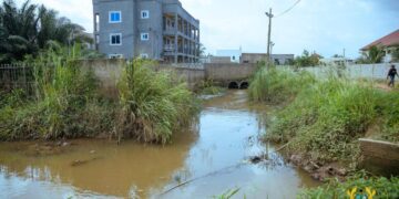 Encroachment reduces Tesa Dam's flood mitigation capacity, task force warns