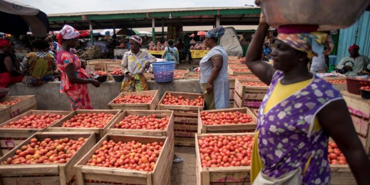 Ghana to experience tomato glut in 3-4 months – Agriculture Minister Eric Opoku