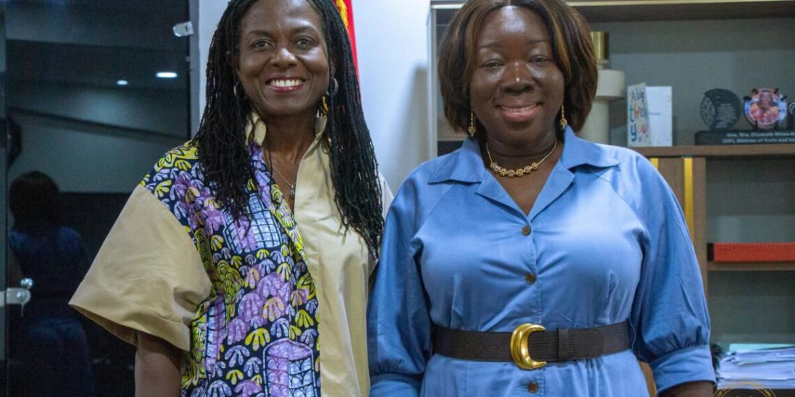 # MTN Ghana delegation visits Trade Ministry The Minister for Trade, Agribusiness and Industry, Elizabeth Ofosu-Adjare, has reaffirmed the Ministry's commitment to working with the private sector to strengthen the growth and competitiveness of Micro, Small and Medium Enterprises (MSMEs) in Ghana. She gave the assurance when a delegation from MTN Ghana paid a courtesy call on her at the Ministry in Accra on Tuesday, July 7, 2026. The MTN Ghana delegation was led by the company's Chief Corporate Services and Sustainability Officer, Adwoa Wiafe. Discussions focused on opportunities for collaboration to support MSME development, promote entrepreneurship and explore areas of mutual interest aimed at driving economic growth. The meeting also considered initiatives that would leverage MTN Ghana's expertise and corporate social investment programmes to complement the government's efforts to strengthen the MSME sector. Responding to the proposals, the Minister thanked MTN Ghana for the visit and its willingness to partner with the Ministry to advance Ghana's industrialisation and enterprise development agenda. She said the Ministry would identify priority areas where collaboration would have the greatest impact, particularly in helping small businesses become more competitive and sustainable. The Minister also stressed the importance of working closely with the Ghana Enterprises Agency to expand opportunities for entrepreneurs through skills development, start-up support and seed funding. She expressed confidence that stronger collaboration between the Ministry and MTN Ghana would help empower entrepreneurs, promote innovation and accelerate private sector-led economic development in Ghana.