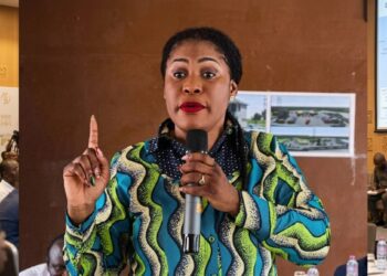 Tema Mayor insists all state projects must go through the Assembly