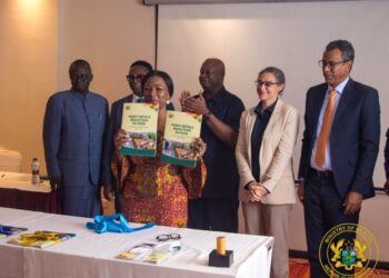 Ghana launches strategic plan to reduce heavy metals in food