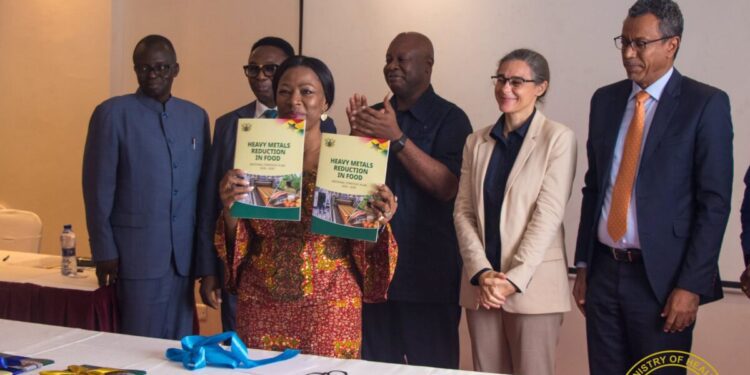 Ghana launches strategic plan to reduce heavy metals in food