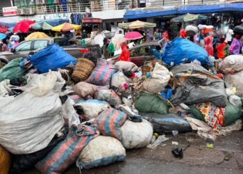 The Burden Of Gogo