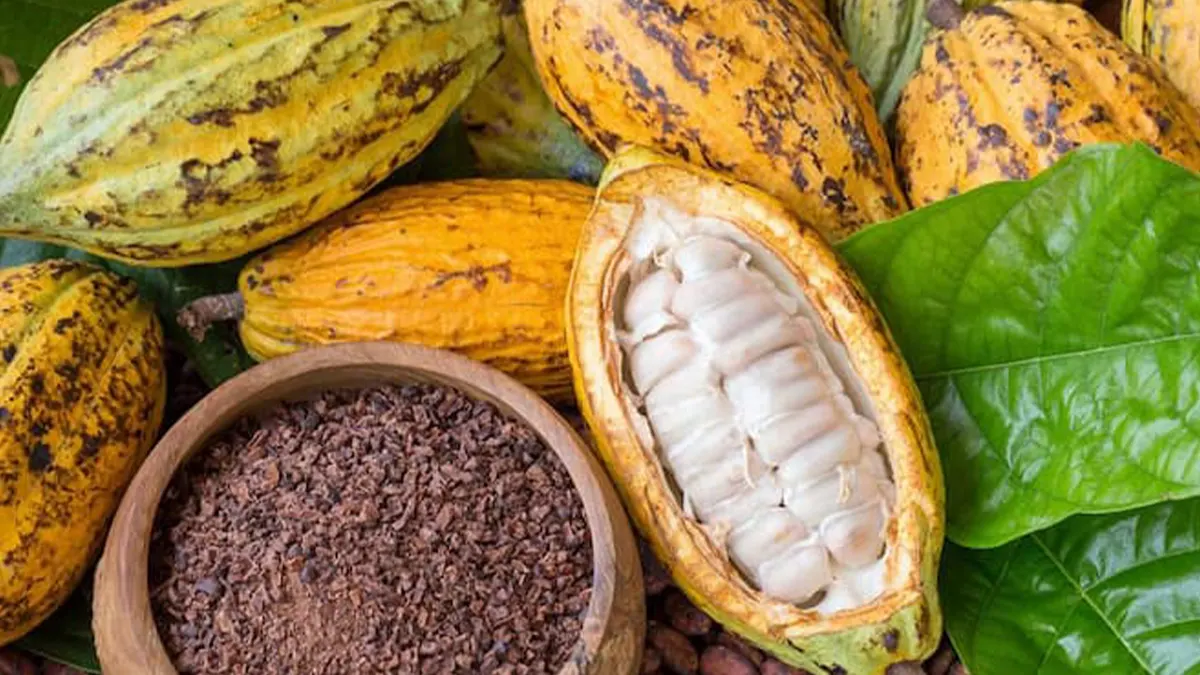 Promote local consumption of cocoa products for healthy nutrition - Benjamin Amponsah urges