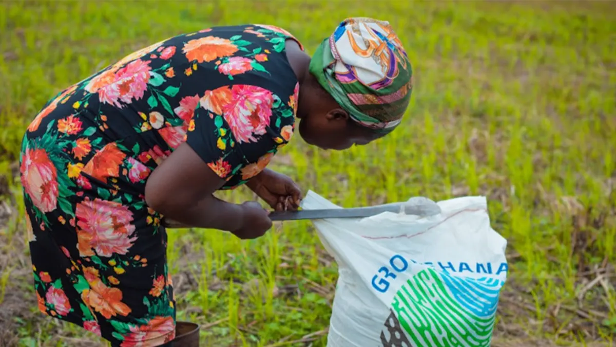 Yara’s “Grow Ghana” initiative to empower farmers, enhance food security