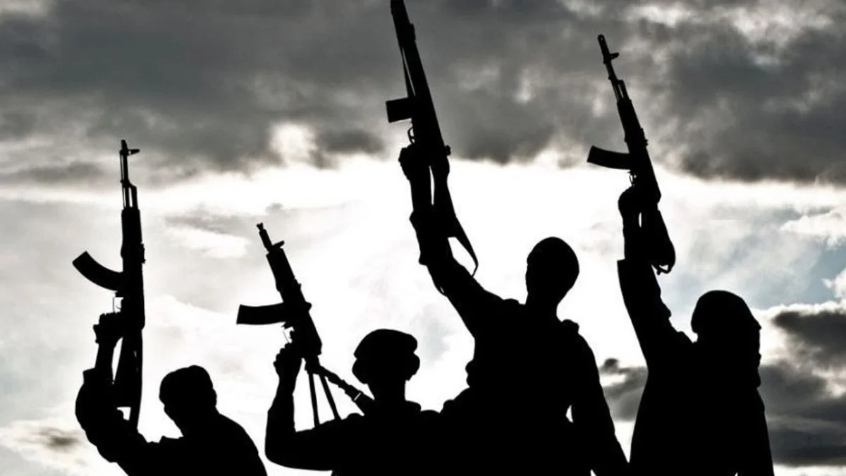 Gunmen kidnap nine in attack on Nigerian village: Nigeria News