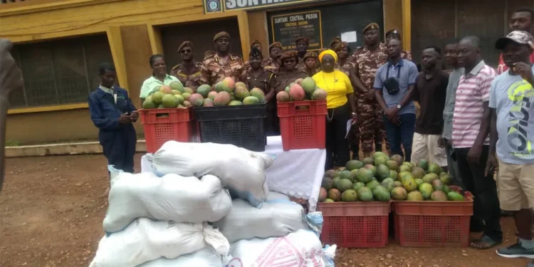 Sunyani Mango Producers appeal for processing factory