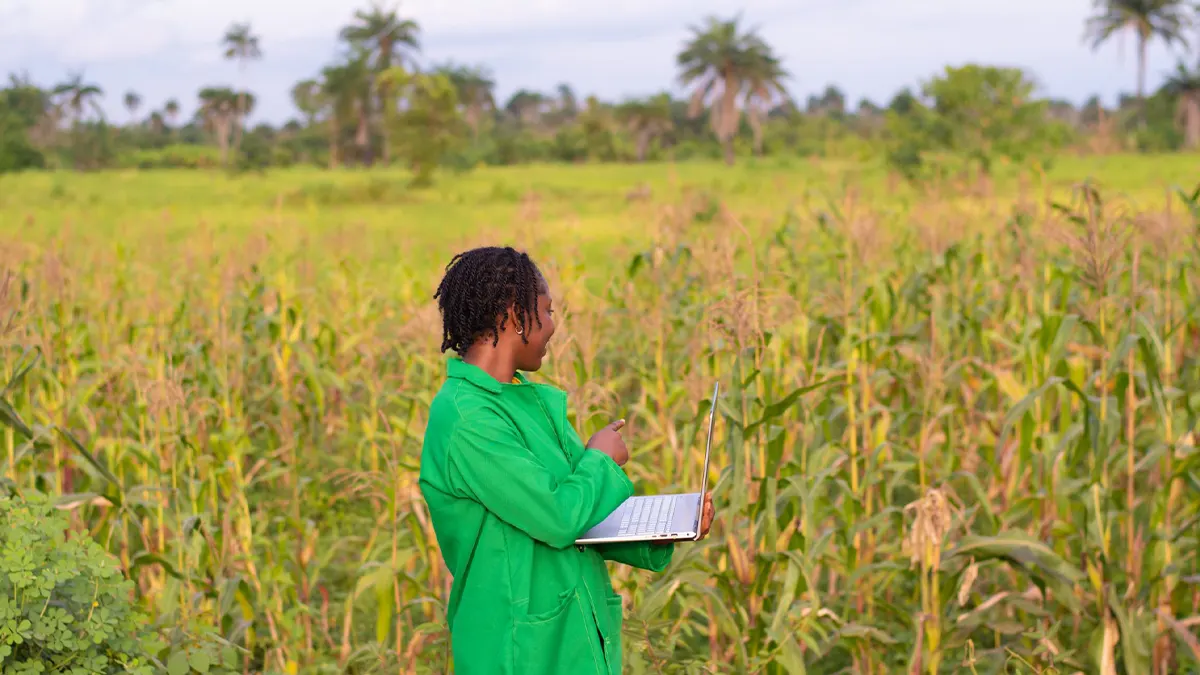 UK provides assistance to enhance climate resilience in Nigeria's agriculture