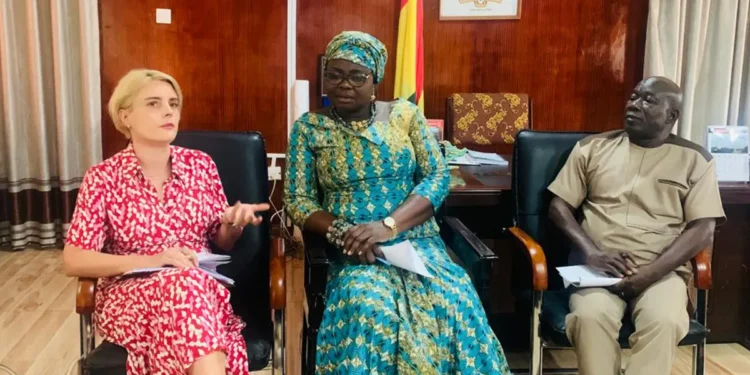 Swiss Ambassador praises President Akufo-Addo for including more women in political positions