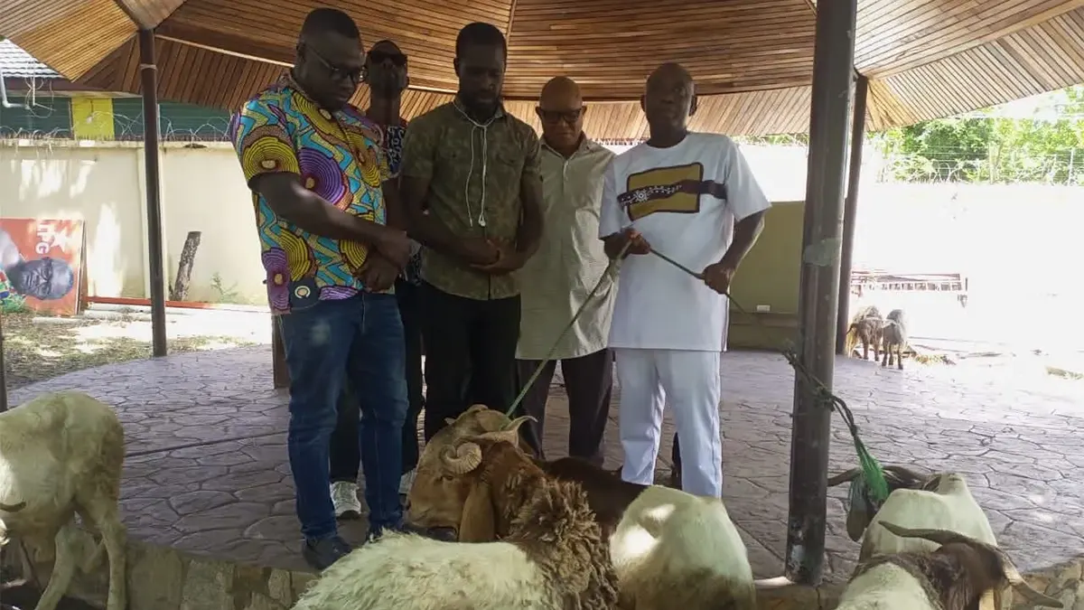 Tema West Municipal Assembly supports Muslims with sheep for eid celebration