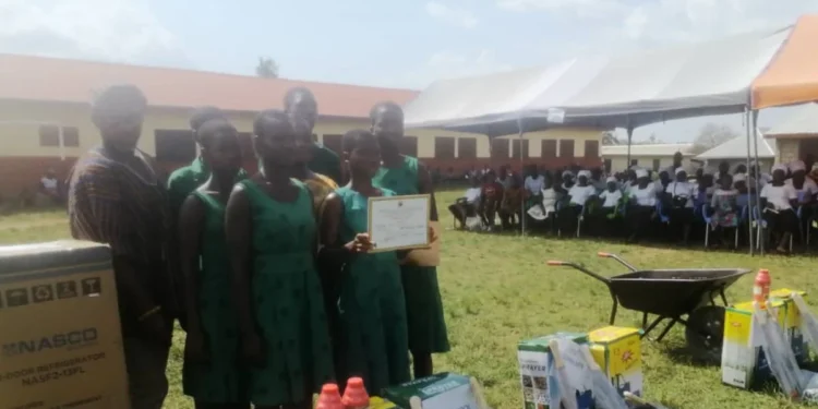 Adaklu District Farmers' Day celebrations recognize Agricultural excellence: Ghana News