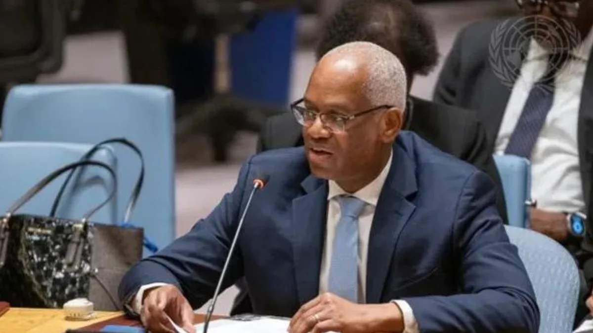 African institutions crucial in peace support operations, says UN special representative: Ghana News