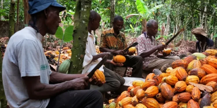 Cocoa farmers in Western North Region advocate for amendments to Concession Act 1962: Ghana News