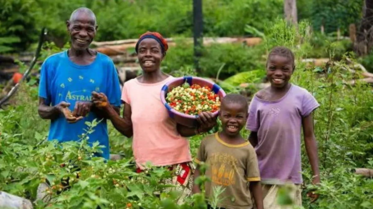 Recognising the Ghanaian farmer amid growing food insecurity, hunger