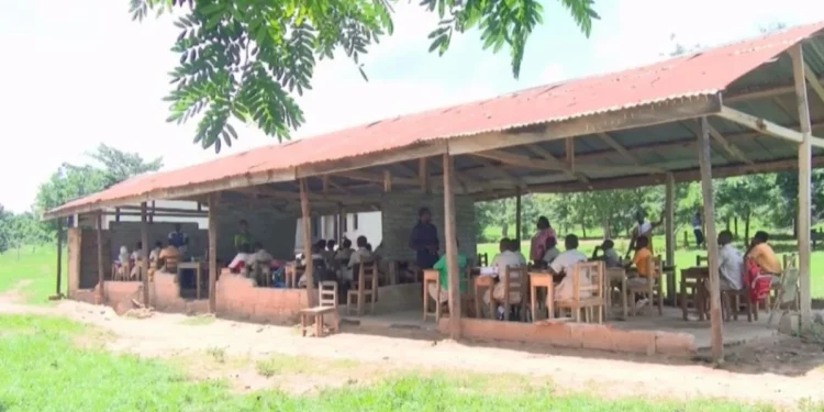 Tanfiano DA Basic School struggles amidst unique challenges, appeals for assistance: Ghana News