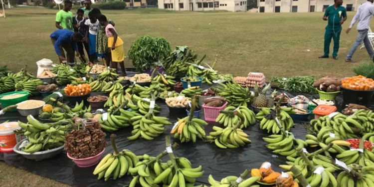 GBC journalist pledges to boost banana trade in Asante Mampong