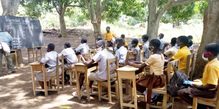 Educational fate of Apuwongo Primary School under-tree classroom