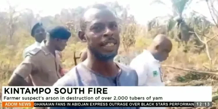Bono East farmer loses 2,000 yam tubers to deliberate bush fire Plea for assistance: Ghana News