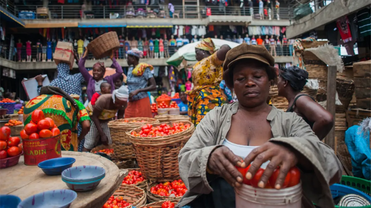 IMF predicts decline in inflation for Ghana, forecasts 15% for 2024