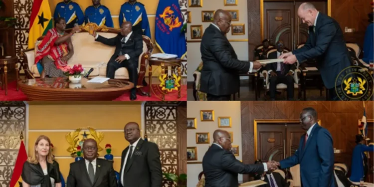 Ghana’s commitment to multilateralism, diplomatic relations solid – President Akufo-Addo