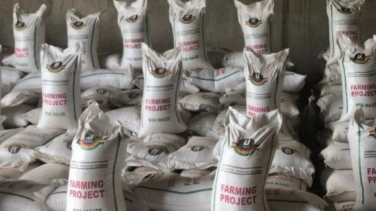 Government to distribute first batch of farm produce from National Service Scheme Free SHS: Ghana News