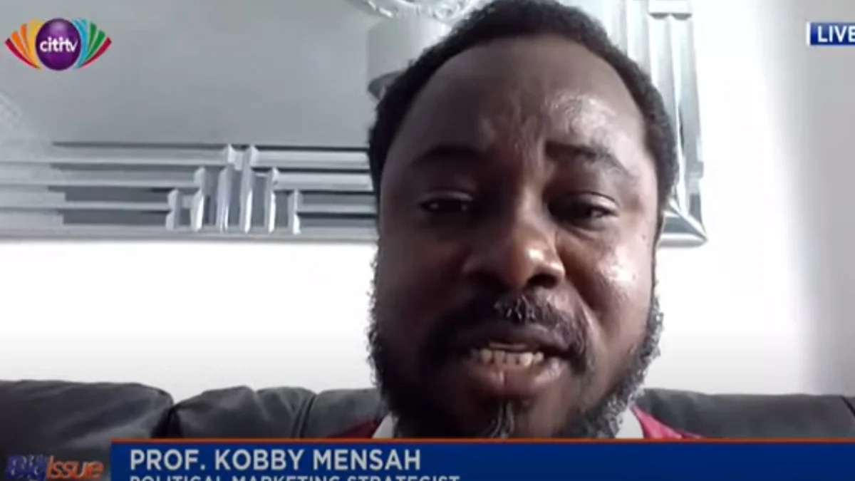 NPP's special delegates conference was unnecessary - Prof Kobby Mensah: Ghana News
