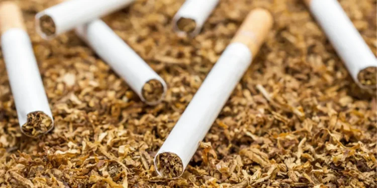 Global Tobacco Control conference COP10 to address urgent public health issues