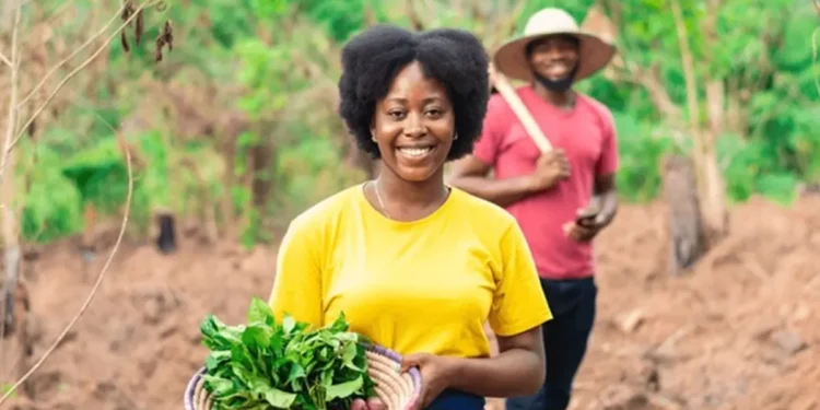 African farmers can build resilience against climate through regenerative agriculture