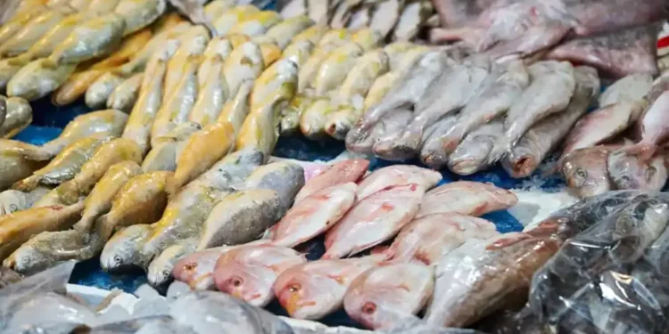 Biologists now recording high numbers of tumours in fishes  