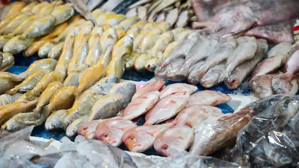 Biologists now recording high numbers of tumours in fishes  