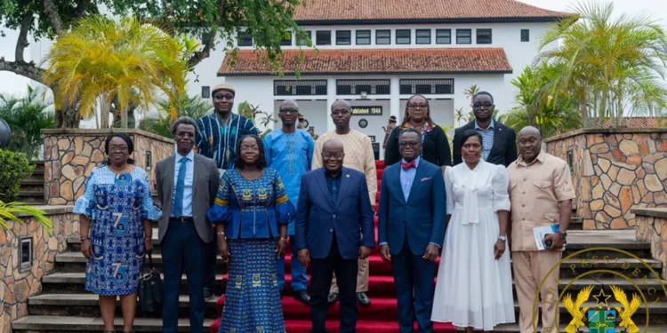 Let’s find African solutions to Africa’s problems – President Akufo-Addo  