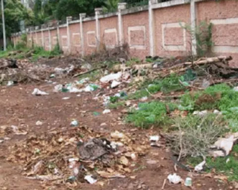 Over a quarter of a million households indiscriminately dump solid waste