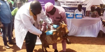 U.S. donates 100,000 anthrax vaccines to support Ghana's livestock health initiative