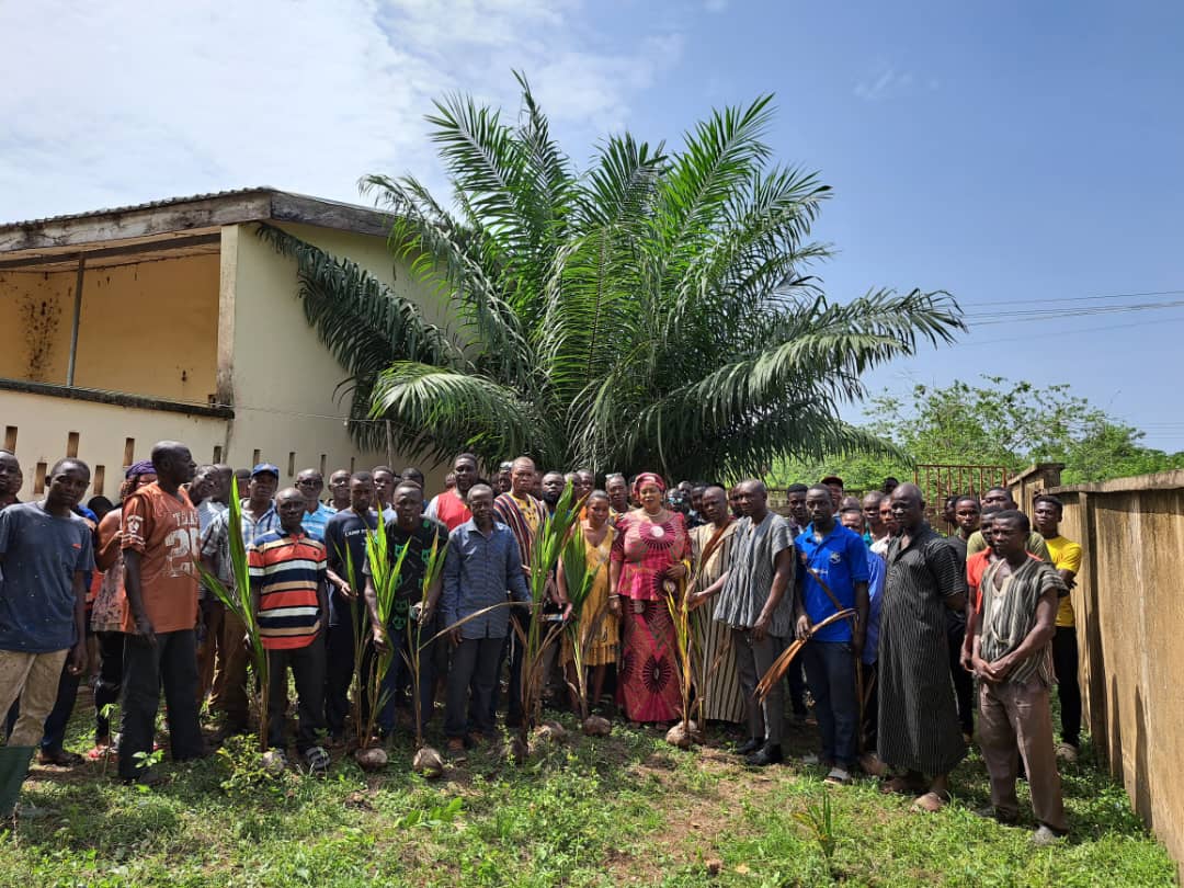 Biakoye farmers receive free coconut seedlings