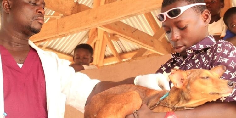 12-year-old girl dies from rabies in Sekyere East after dog bite