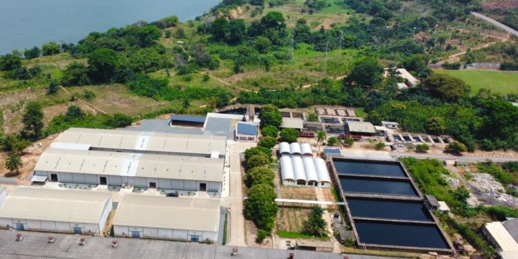 Akosombo Textiles Limited