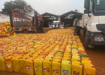 Ghana Immigration Service intercepts truck smuggling cocoa beans to Togo