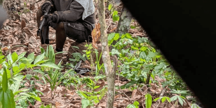 Forestry Commission officer fighting for his life after brutal attack by armed illegal miners