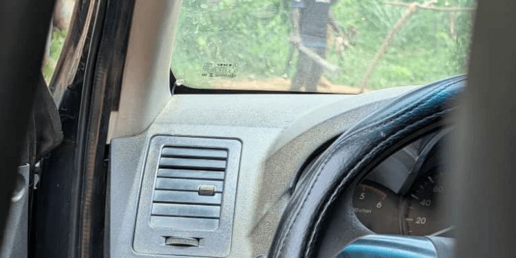 Forestry Commission officer fighting for his life after brutal attack by armed illegal miners