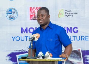 Former YEA CEO Kofi Agyepong