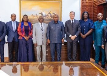 Guinness Ghana Leadership Meets Mahama, Reaffirms Commitment Under Castel Group